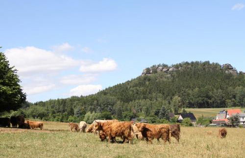 Alter Gutshof Papstdorf - Foto 18