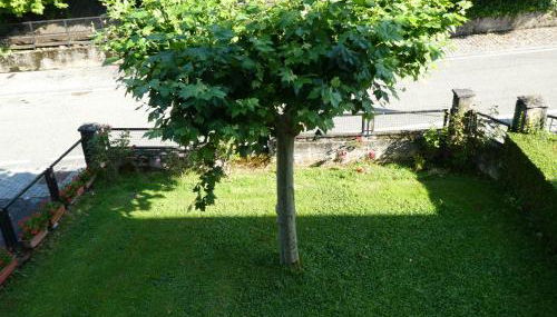 Apartamento Binies - Foto 5, Garden, Garden view