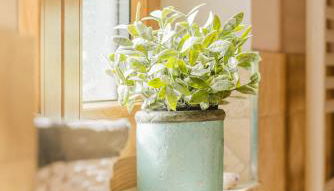 Kaminhaus 3 Fehmarn mit Sauna und Kamin - Foto 4