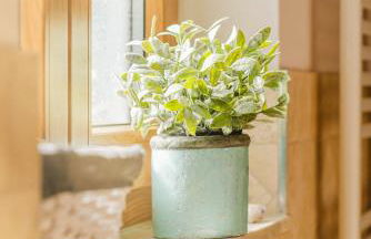 Kaminhaus 3 Fehmarn mit Sauna und Kamin - Foto 4