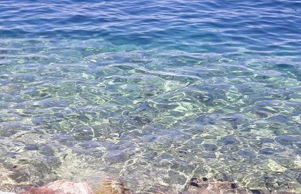 Apartmani Niessner - Foto 32