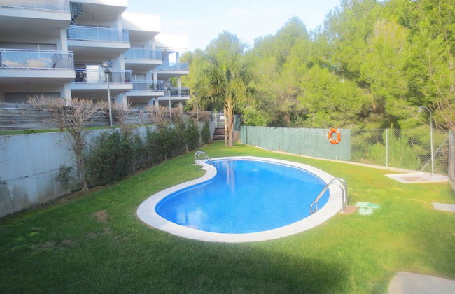 Pinar de la Cala - Foto 25