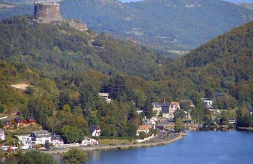 Les Marmottes de Murol - Foto 6