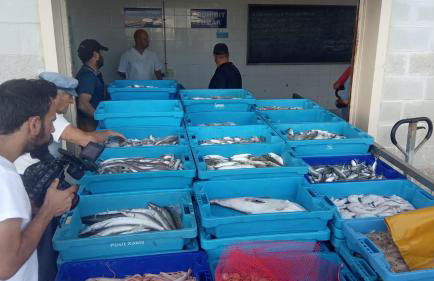 ROQUES DAURADES III - JARDIN PRIVADO - Foto 49