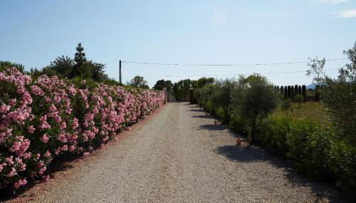 Ca Ses Nines - Foto 3