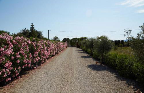 Ca Ses Nines - Foto 3