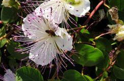 Country House Namasté - Foto 8