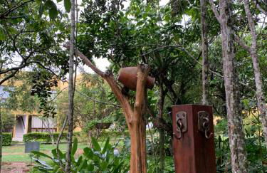 flat em serra negra - bezerros - Foto 48