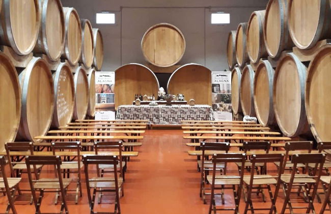 Degustazione di vino a Marsala - Foto 1