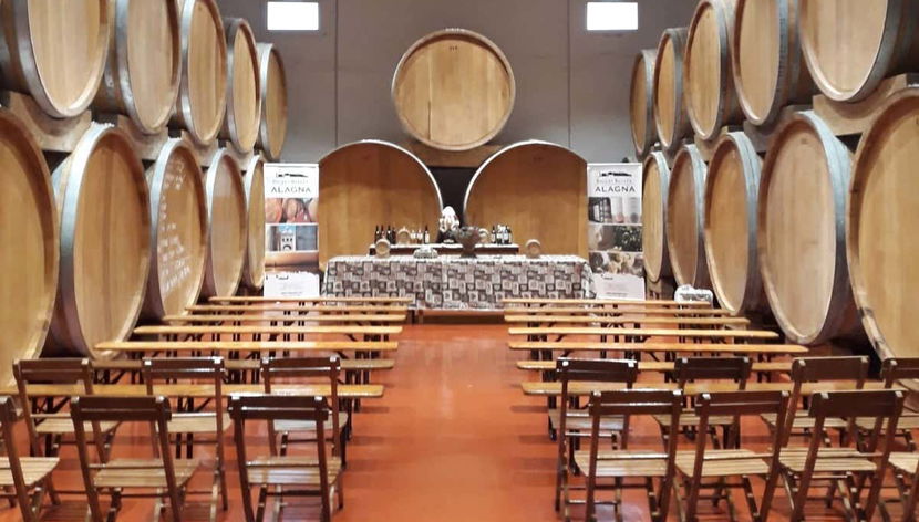 Esplorando le cantine di Marsala