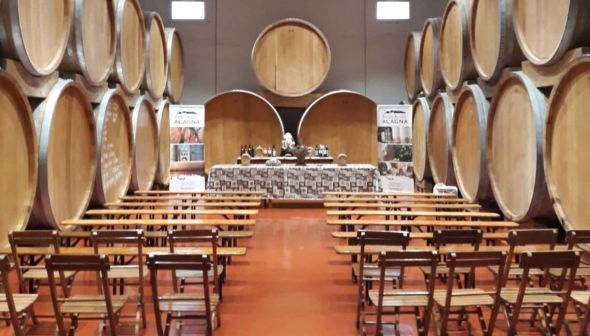 Esplorando le cantine di Marsala