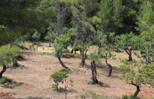 Villa Capllonch - Foto 67