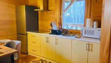 Przystanek Tonkiele - Foto 3, stove, minibar