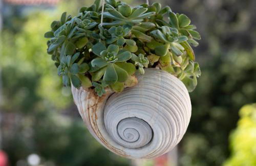 Stella's traditional house. - Foto 46