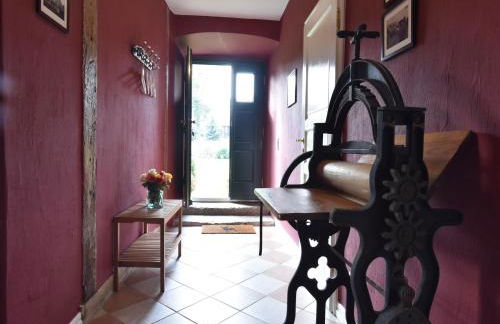 Historic Apartment in Gerdshagen With Garden - Foto 16