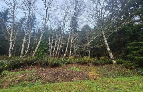 Secluded Forest Cabin Retreat Near Olympic Peninsula Coast | Near Sekiu, Washington - Foto 22