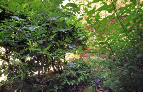 Apartments by the sea Artatore, Losinj - 2509 - Foto 32