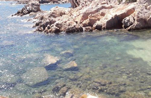 Acquazzurra a Punta Molara - Foto 20