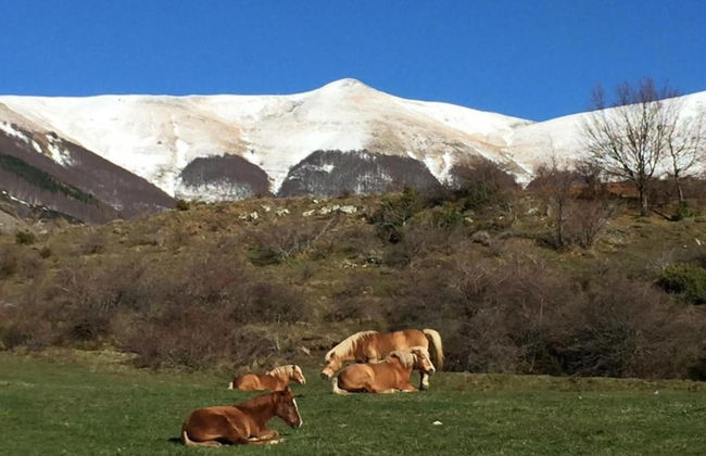 Castelvecchio Family Retreat - Photo 31