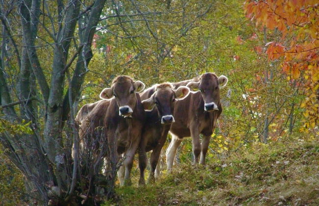 LuxLax 2. OG Süd - Foto 41