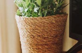 Apto em Campo Grande com Piscina e churrasqueira - Foto 23