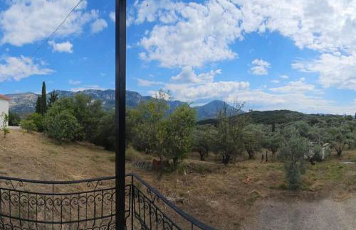 Ελαιώνας με θέα στο βουνό - Foto 6