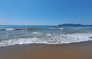 Turtle Bay Breeze - Foto 10