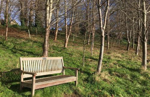 Snug at Combe Hay - Foto 19