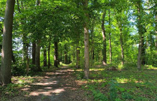 Herrenhaus Harmshagen - Foto 20