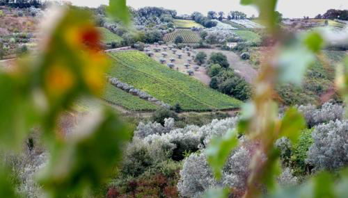 La Casa di Stefania LOFT - Foto 2