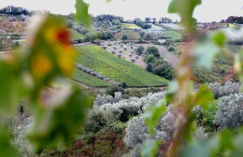 La Casa di Stefania LOFT - Foto 2