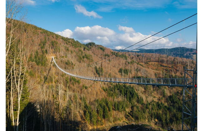 Huis Rieslehof Vakantiewoning 11 - Foto 9