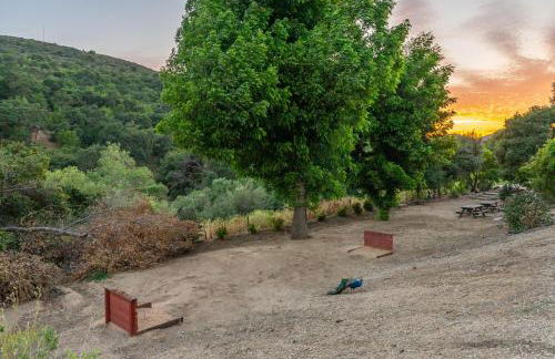 8 Mile House Deluxe - Foto 48