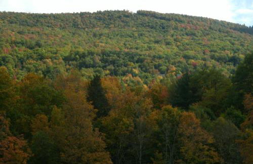 Townhouse W Private Deck & Mt View - Foto 49