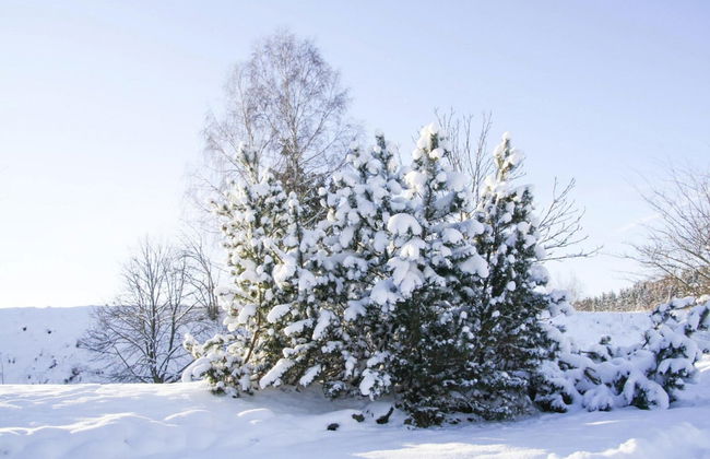 Ferienwohnung, Braunlage - Foto 30