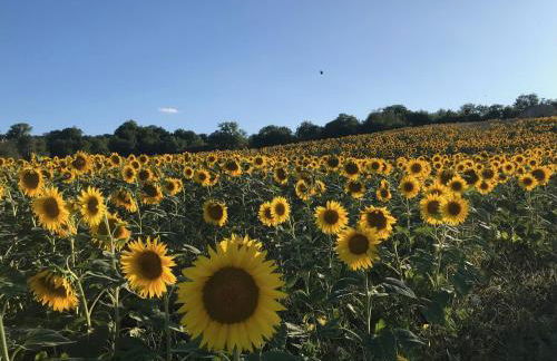 Agriturismo Colpo di Fortuna - Foto 54