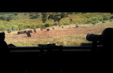 Apts la cañada birding con encanto y patio en monfrague torrejon el Rubio - Foto 18