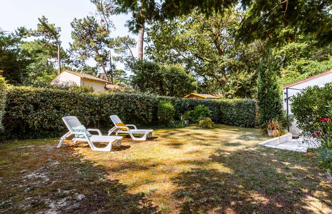 Les Narcisses - Foto 29