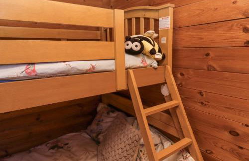 Aurora Skies - Photo 20