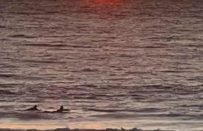 Stunning SanFran Casa close to Center and steps from Ocean - Foto 35