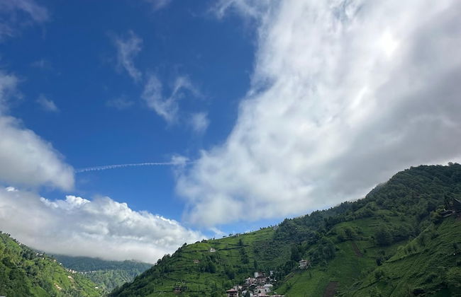 Gökçe Bungalov Evleri - Foto 50