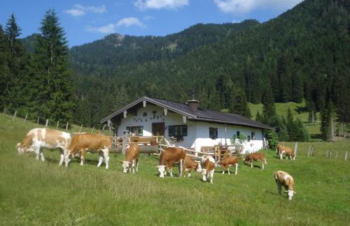 Schneider-Hof inkl. Chiemgaukarte - Foto 7