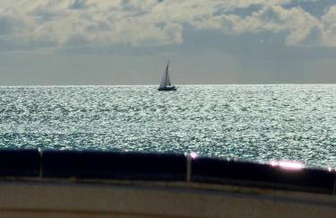 Salamandra - Foto 56