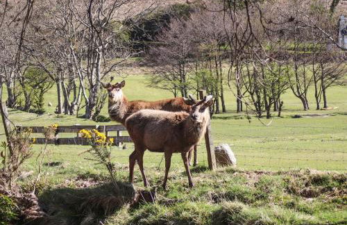 Sqlarran Cottage - Photo 18