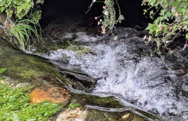 Entre cuves et sources - au coeur de Goudargues - Foto 19