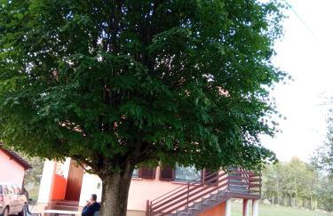 APARTMAN DEDA - Foto 35