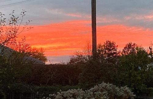 Bee Cottage - Foto 25