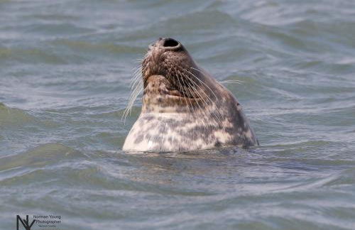 Tyddyn Crwn Country-House Apartments - Photo 20