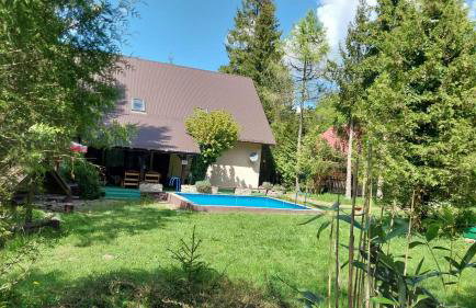 Dom nad Rycerskim Potokiem - Foto 1