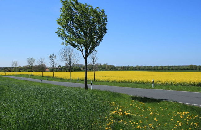 Lake View Modern Retreat - Foto 19